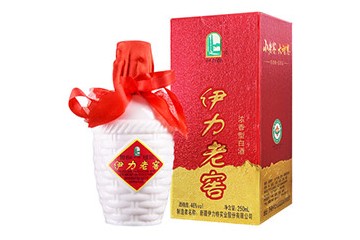 伊力特（北京）电子商务有限公司